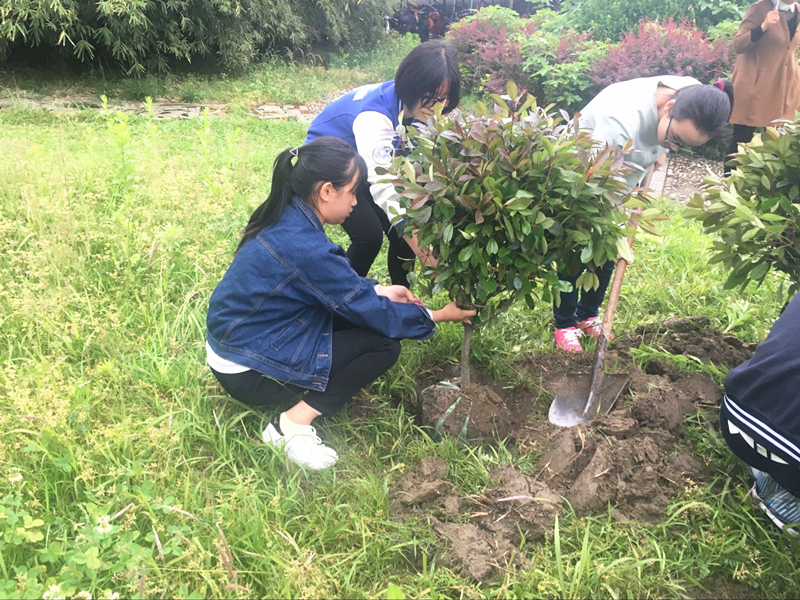 梓桐園藝社開展“我為學校添新綠”植樹活動