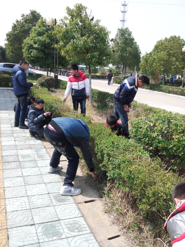 學(xué)校組織志愿者開(kāi)展義務(wù)撿垃圾行動(dòng)