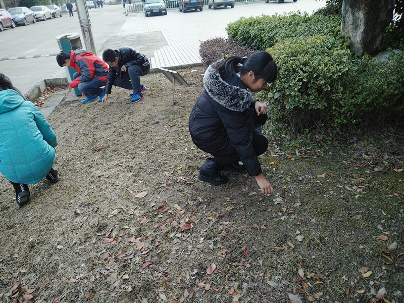 團委組織青年志愿者義務(wù)清理校園
