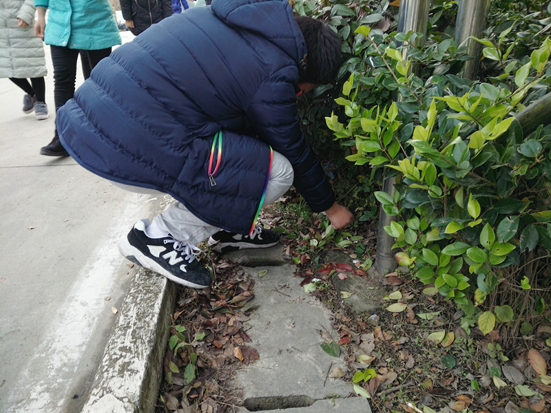 團委組織青年志愿者義務(wù)清理校園